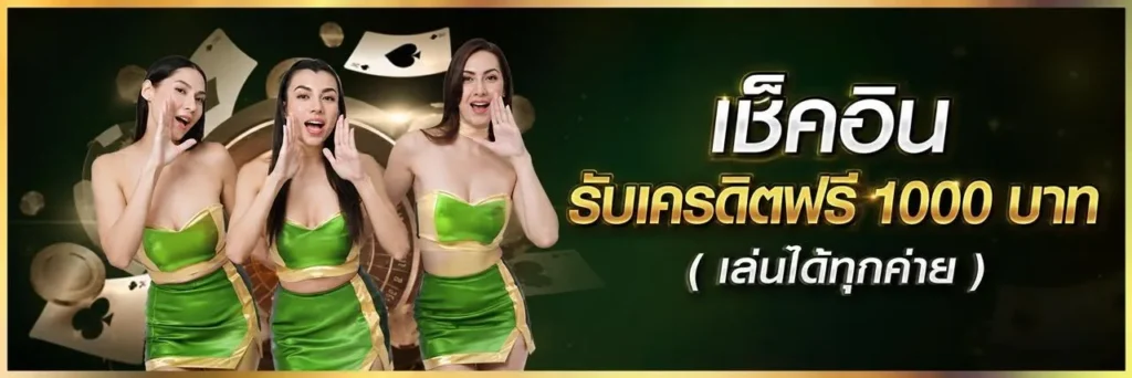 พารวย11-PROMOTION-2