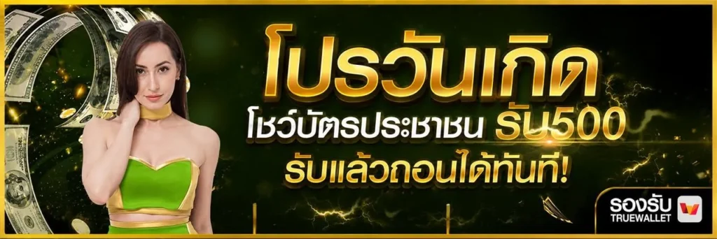 พารวย11-PROMOTION-3